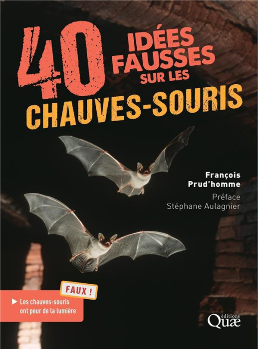 Emprunter 40 idées fausses sur les chauves-souris livre