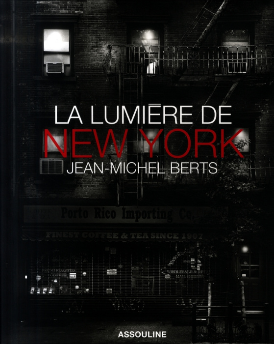 Emprunter La lumière de New York livre
