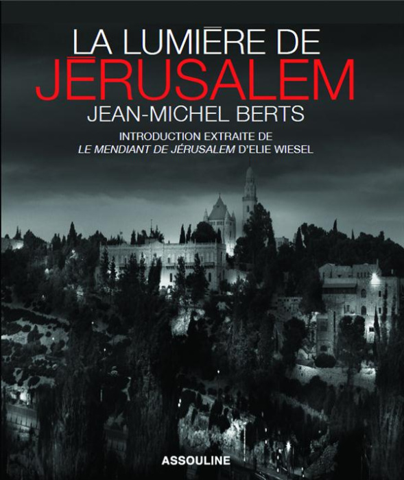 Emprunter La lumière de Jérusalem livre