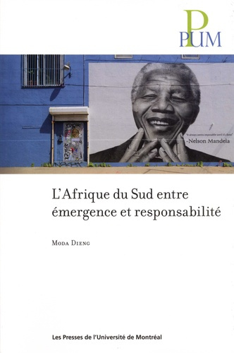 Emprunter L'Afrique du Sud entre émergence et responsabilité livre