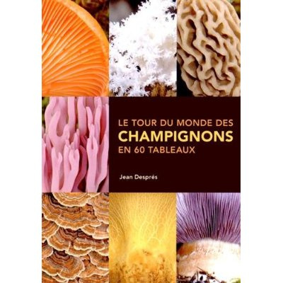 Emprunter Le tour du monde des champignons en 60 tableaux livre