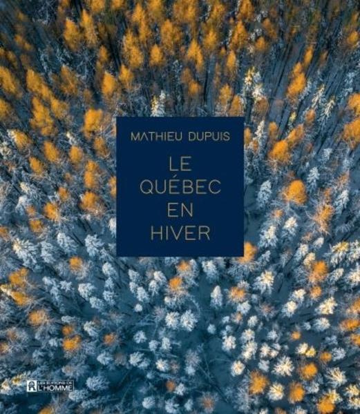 Emprunter Le Québec en hiver livre
