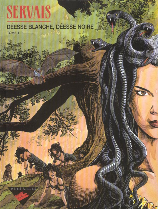 Emprunter Déesse blanche, déesse noire Tome 1 livre