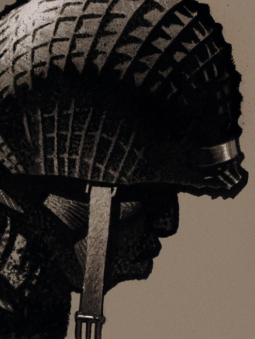 Emprunter Cinq branches de coton noir. Edition de luxe livre