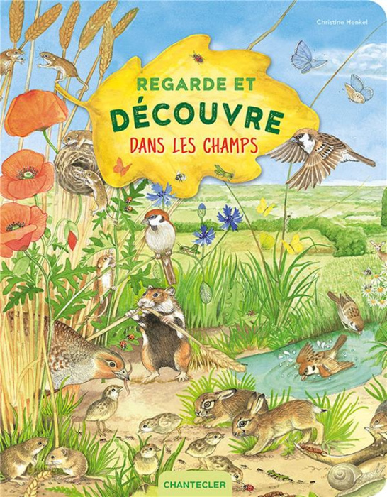 Emprunter Regarde et découvre dans les champs livre