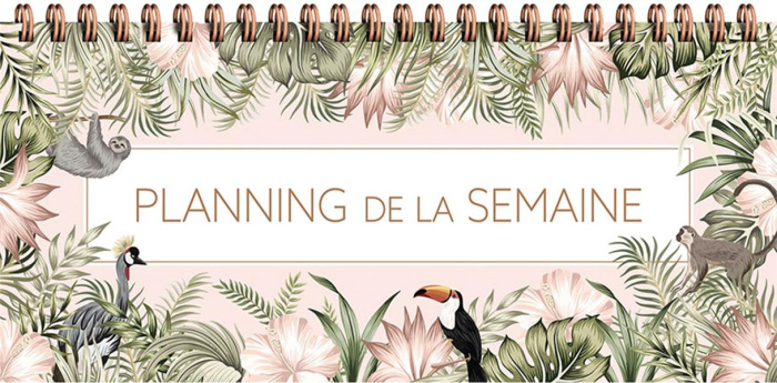 Emprunter Planning de la semaine livre