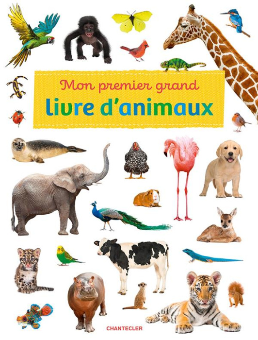 Emprunter Mon premier grand livre d'animaux livre