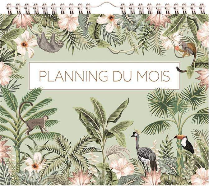 Emprunter Planning du mois livre