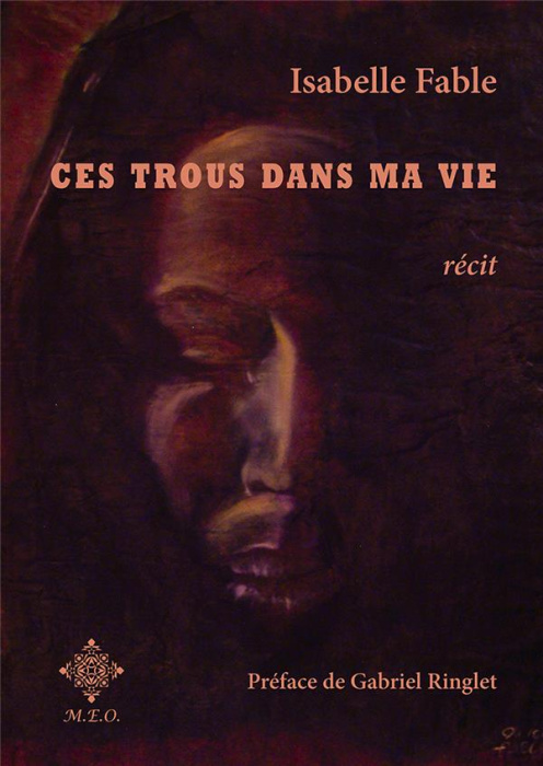 Emprunter Ces trous dans ma vie livre