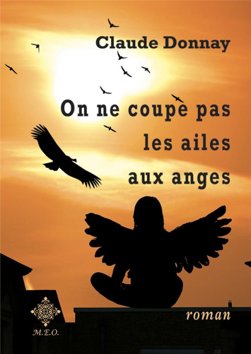 Emprunter On ne coupe pas les ailes aux anges livre