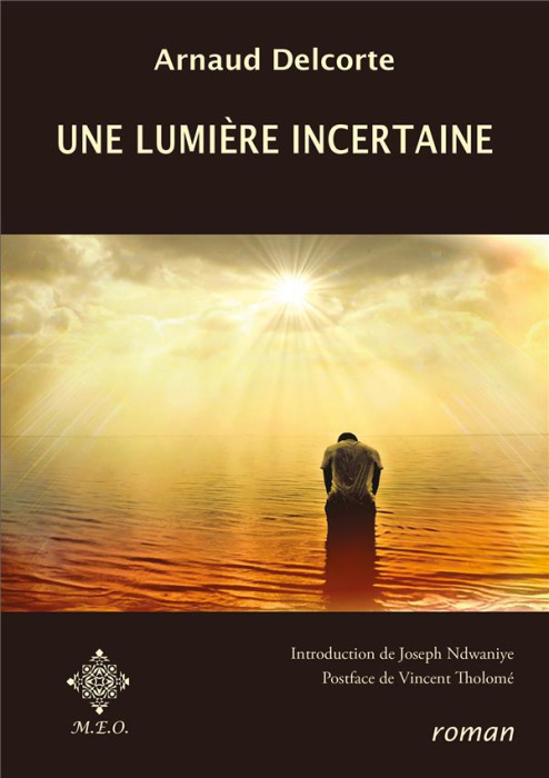 Emprunter Une lumière incertaine livre