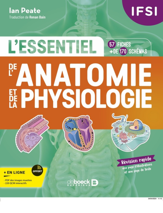 Emprunter IFSI - L'essentiel de l’anatomie et de la physiologie. Edition 2024 livre
