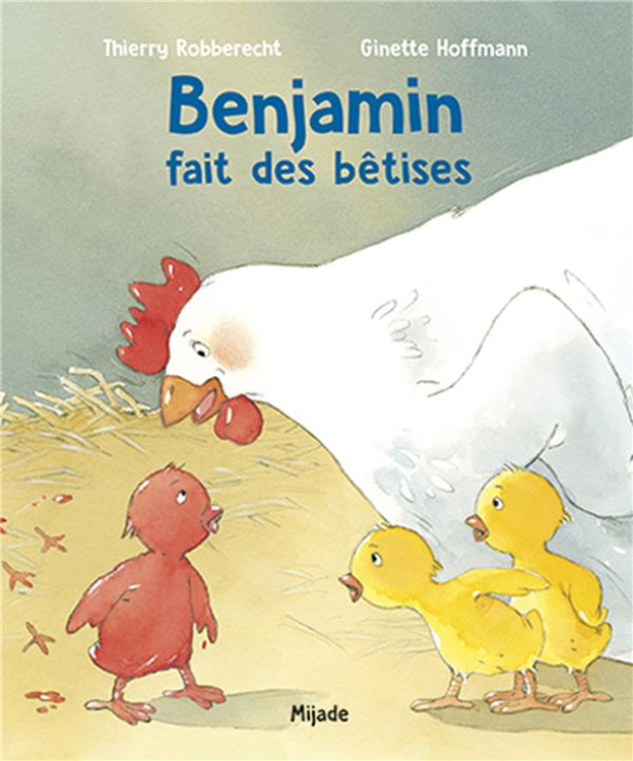 Emprunter Benjamin fait des bêtises livre