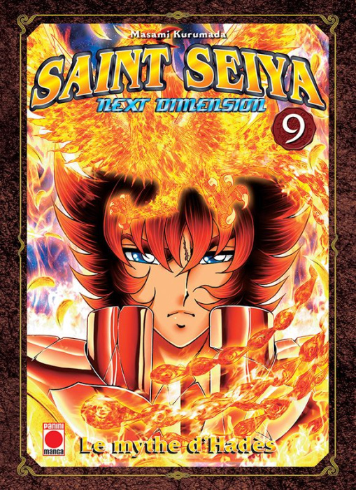 Emprunter Saint Seiya Next Dimension Tome 9 livre