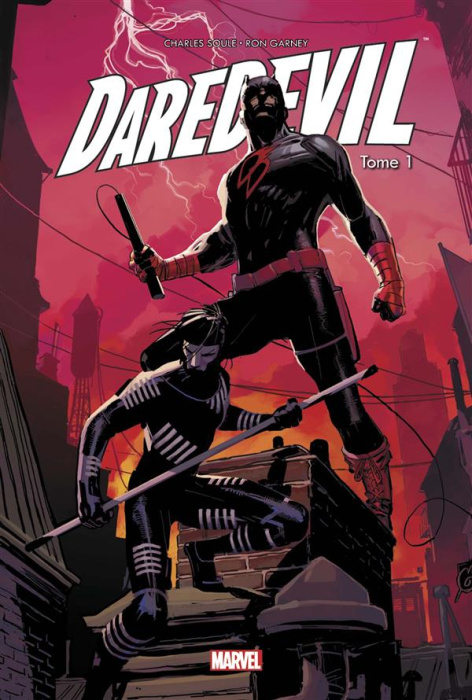 Emprunter Daredevil Tome 1 : Un témoin gênant livre