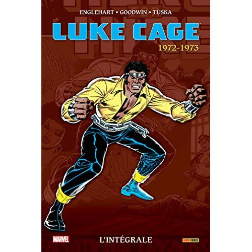 Emprunter Luke Cage l'Intégrale : 1972-1973 livre