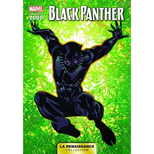 Emprunter La renaissance des heros marvel t02 : black-panther livre