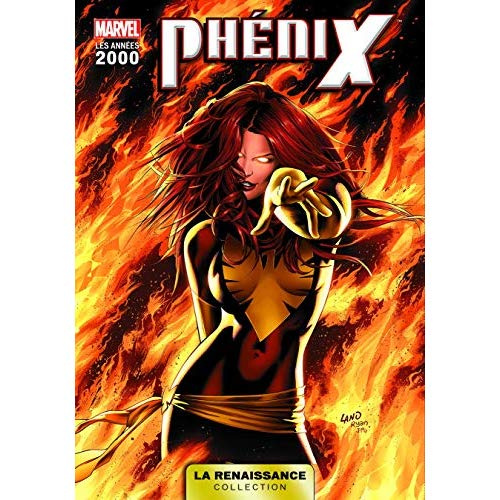 Emprunter La renaissance des heros marvel t07 : phoenix livre