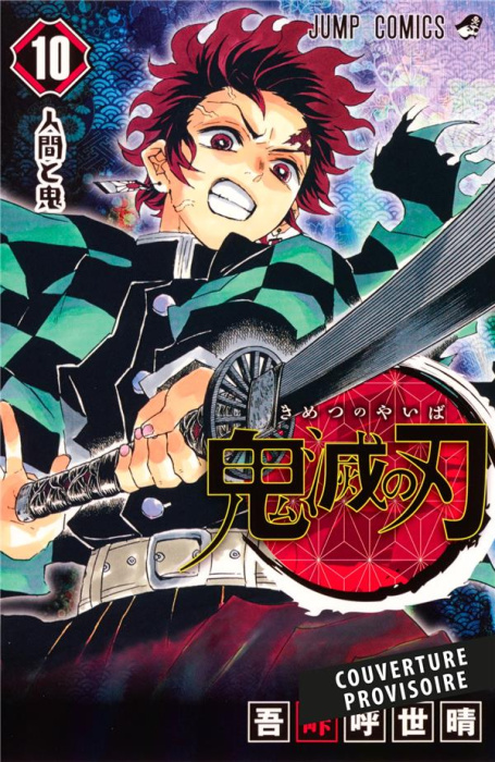 Emprunter Demon Slayer Tome 10 livre