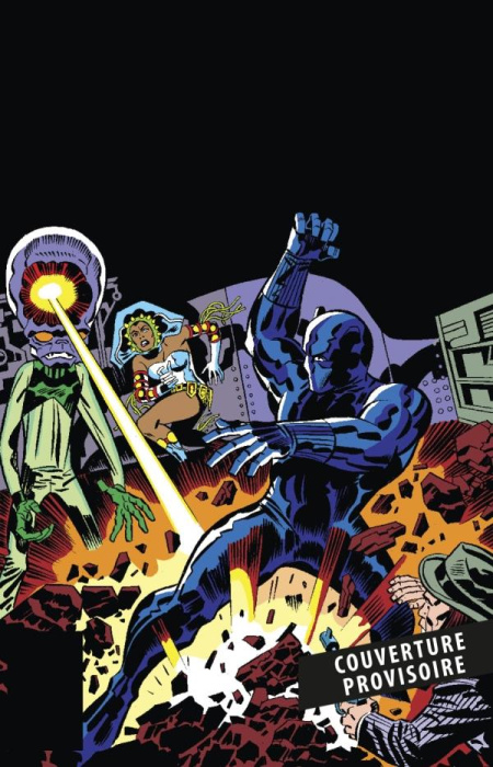 Emprunter Black Panther L'intégrale : 1989 livre