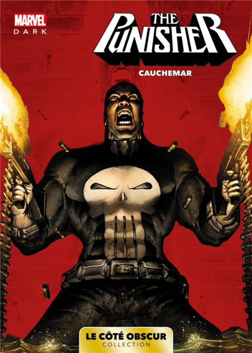 Emprunter Marvel Dark: Le côté obscur T07 - Punisher livre