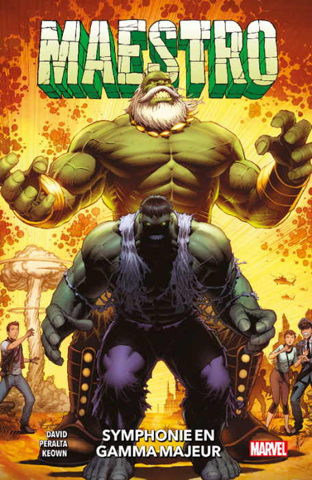 Emprunter Maestro : Symphonie en gamma majeur livre