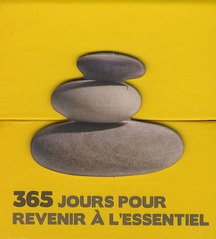 Emprunter 365 jours pour revenir à l'essentiel livre