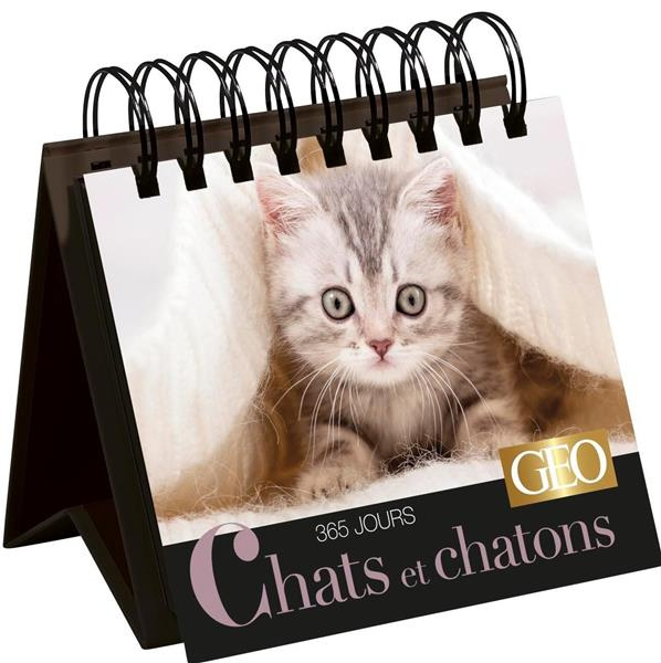 Emprunter 365 jours Chats et chatons livre