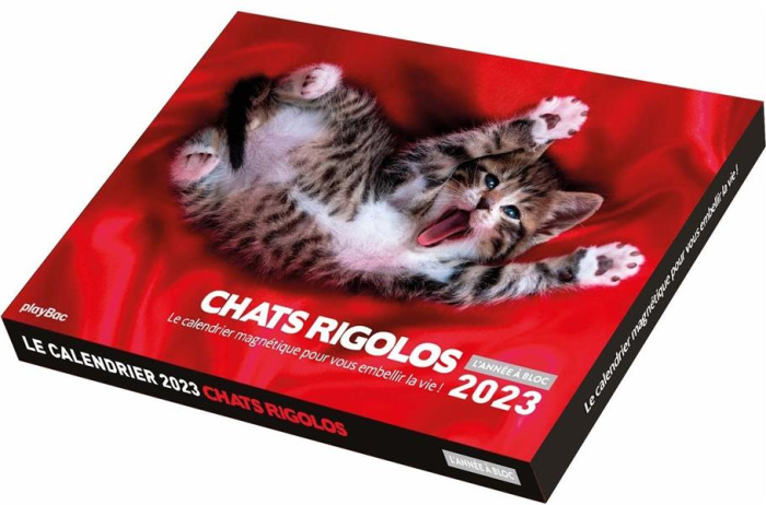Emprunter Calendrier Chats rigolos. (de janv. à déc. 2023), Edition 2023 livre