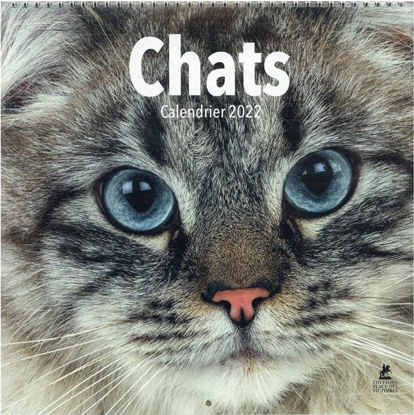 Emprunter Calendrier Chats. Edition 2022 livre