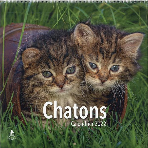 Emprunter Calendrier chatons. Edition 2022 livre
