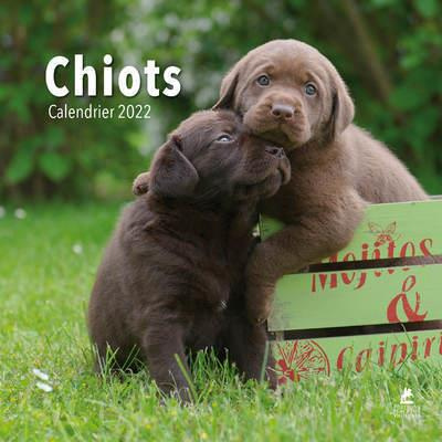 Emprunter Chiots. Edition 2022 livre