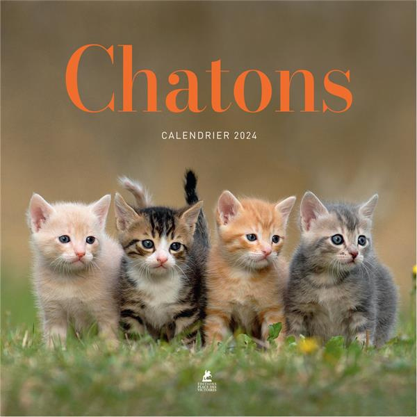 Emprunter Calendrier chatons. Edition 2024 livre