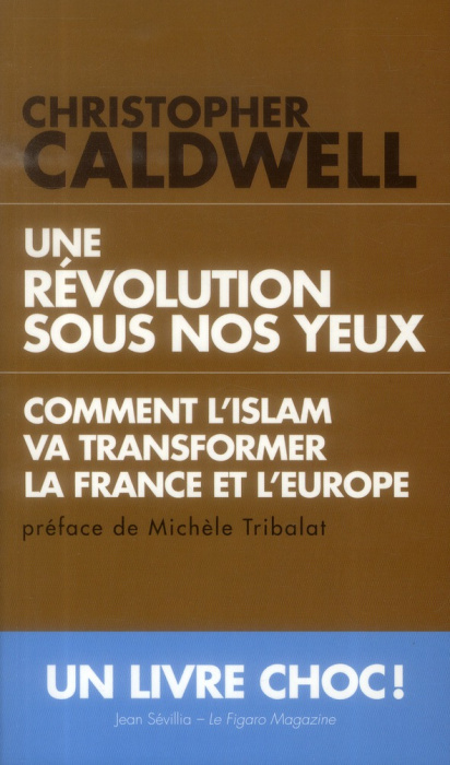 Emprunter Une révolution sous nos yeux. Comment l'Islam va transformer l'Europe et la France livre