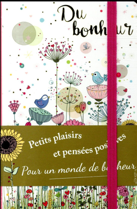 Emprunter CARNET NOTES AMELIE BIGGS LAFFAITEUR TAILLE S livre