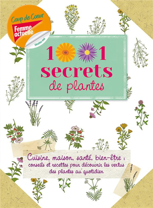 Emprunter 1001 secrets de plantes livre