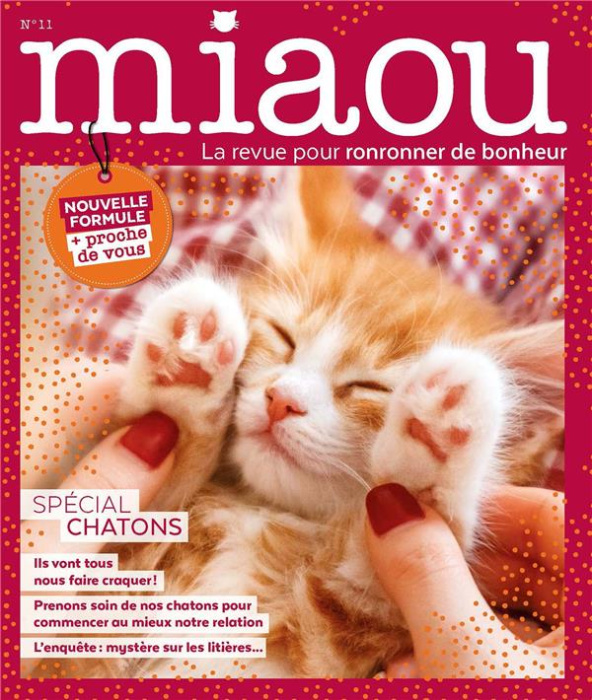 Emprunter Miaou N° 11, septembre-octobre-novembre 2020 : Spécial chatons livre