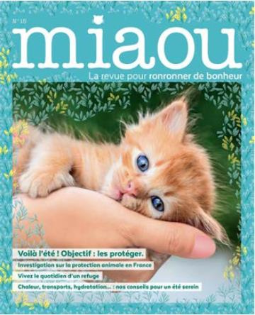 Emprunter Miaou N° 15, juillet-août 2021 : Voilà l'été ! Comment les protéger ? livre