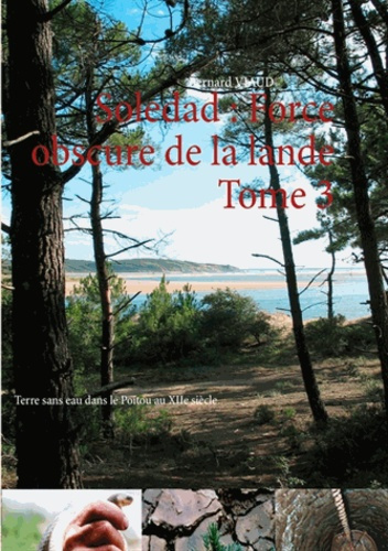 Emprunter SOLEDAD - T03 - FORCE OBSCURE DE LA LANDE - TERRE SANS EAU DANS LE POITOU AU XIIE SIECLE livre