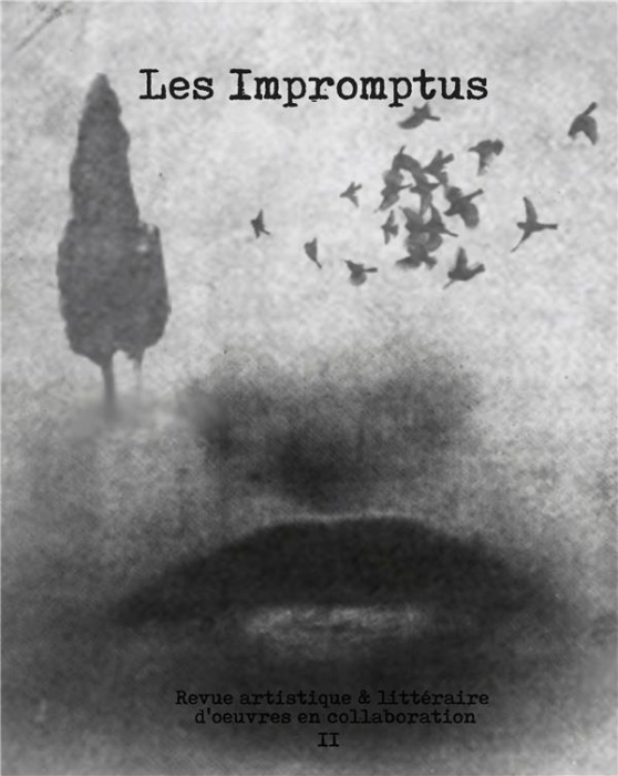 Emprunter Les Impromptus N° 2 livre