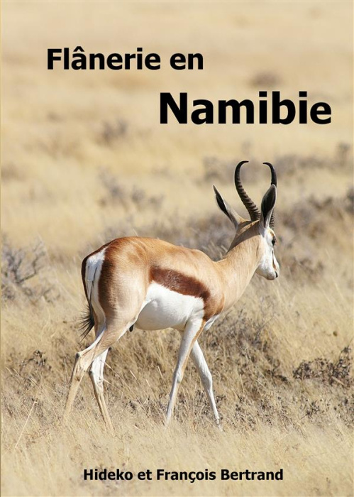 Emprunter Flânerie en Namibie livre