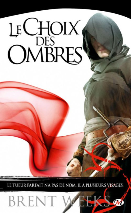 Emprunter L'ange de la nuit Tome 2 : Le Choix des ombres livre