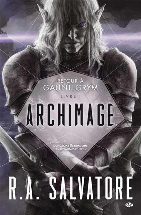 Emprunter Archimage Tome 1 : Retour à Gauntlgrym livre