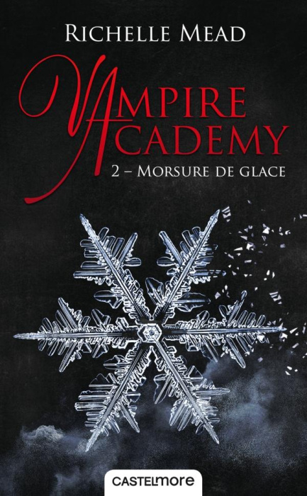 Emprunter Vampire Academy Tome 2 : Morsure de glace livre