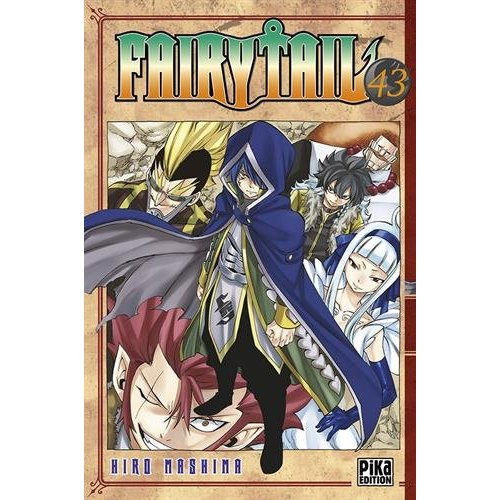 Emprunter Fairy Tail Tome 43 livre