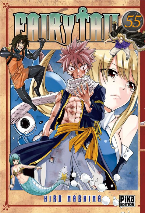 Emprunter Fairy Tail Tome 55 livre