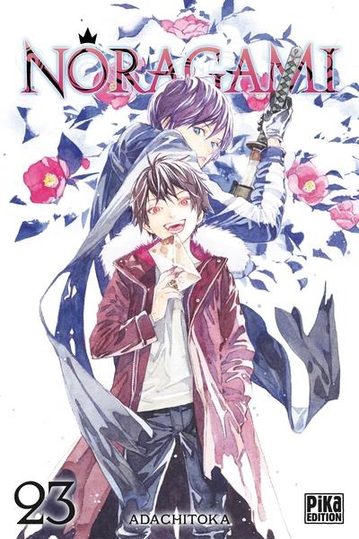 Emprunter Noragami Tome 23 livre