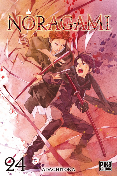 Emprunter Noragami Tome 24 livre