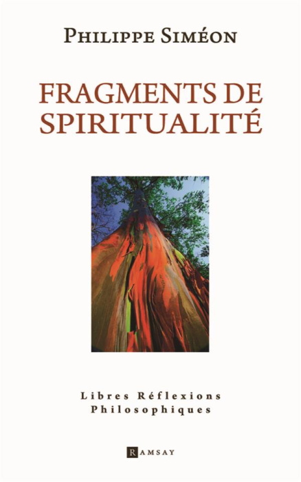 Emprunter Fragments de spiritualité. Libres réflexions philosophiques livre
