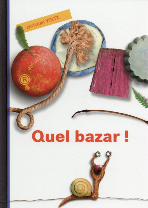 Emprunter Quel bazar ! livre